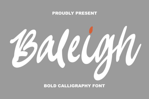 Baleigh Script Font Review: A Casual, Chunky Typeface for Creative Branding