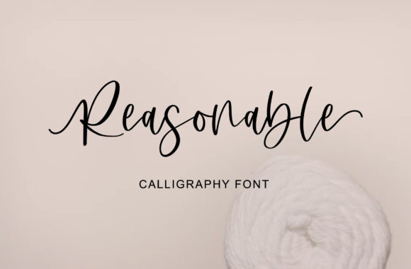 Reasonable: A Chic Script Handwritten Font for Sophisticated Branding