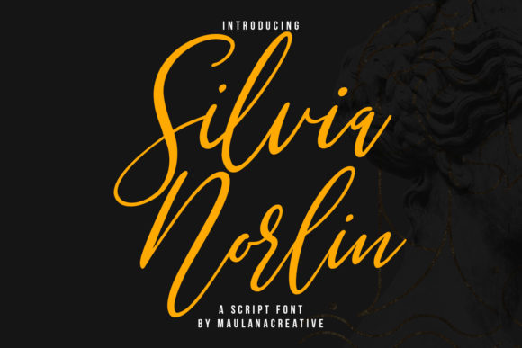 Silvia Norlin Script Typeface for Modern Web Design