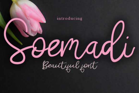 Soemadi Script Handwritten Fonts for Creative Crafting
